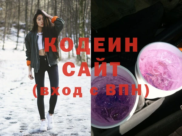 скорость Вяземский