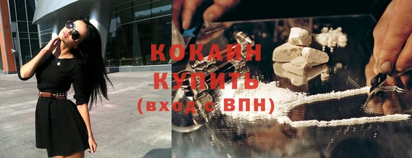 стаф Ростов